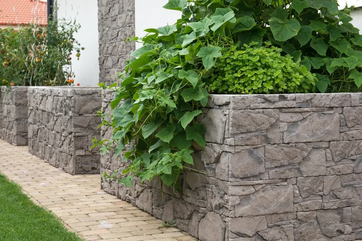 ECONOMY Skala Tematín rustik