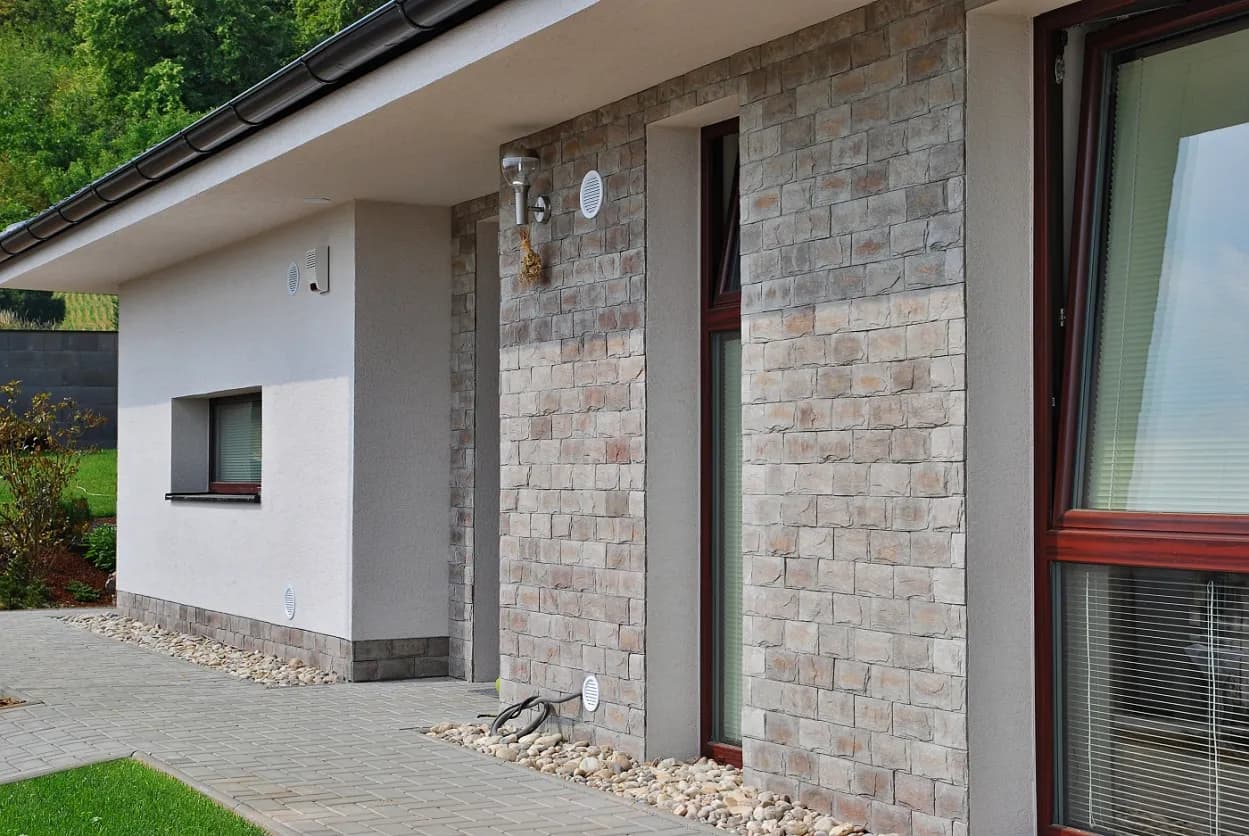 Bridlica štandard varicolor