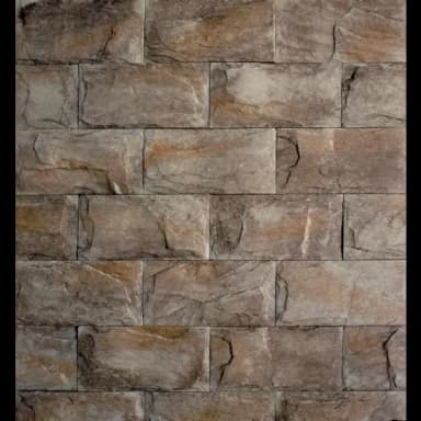 Bridlica štandard varicolor