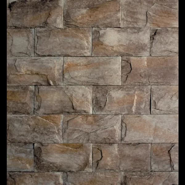 Bridlica štandard varicolor