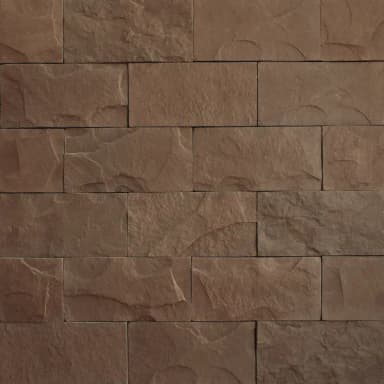 ECONOMY Bridlica štandard hnedá