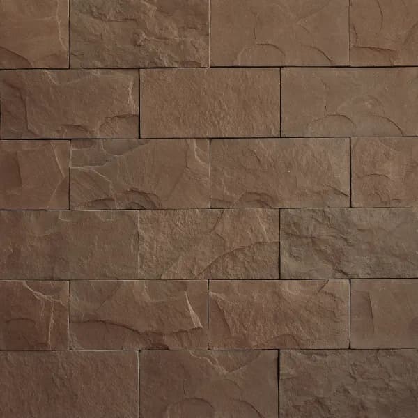 ECONOMY Bridlica štandard hnedá