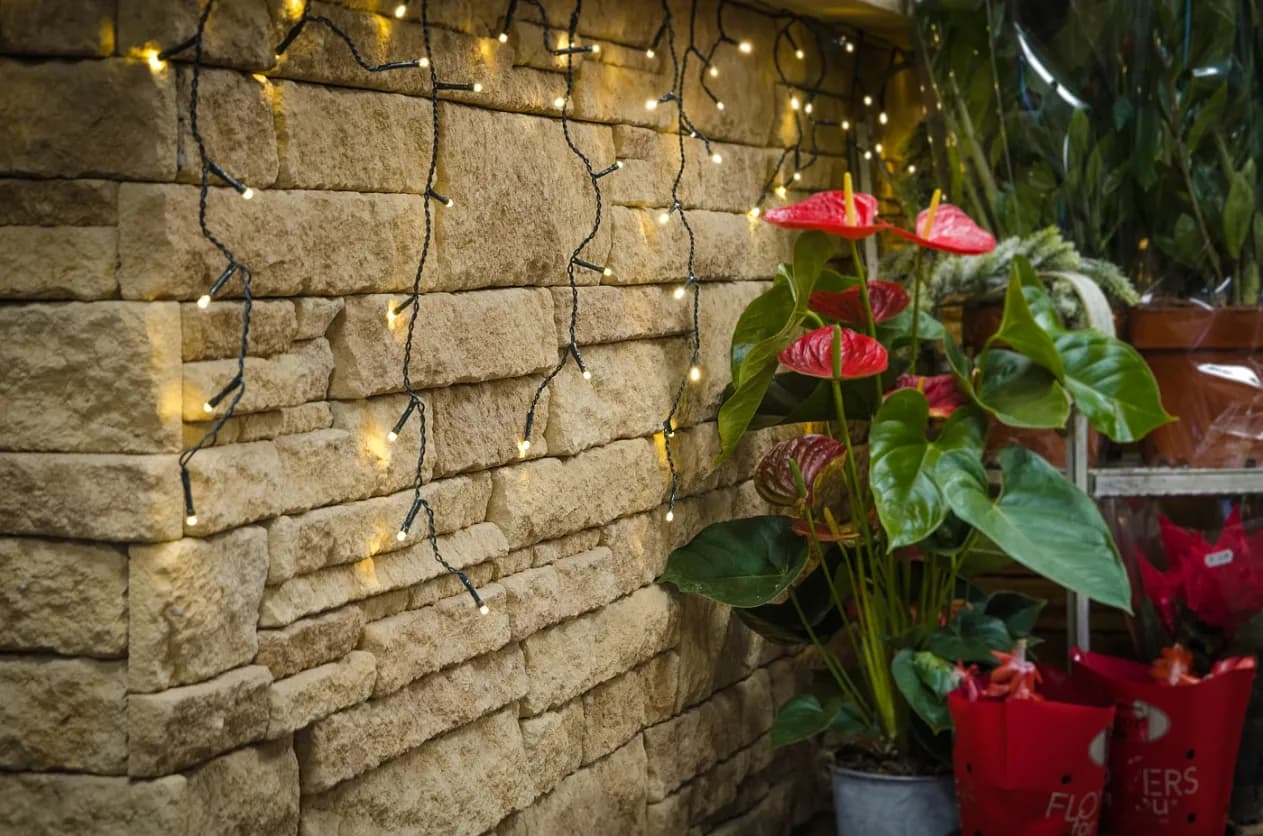 Pieskovec verzia 5 pieskovcová