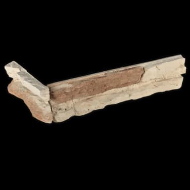 Skala ohnivá bledá - krajovka